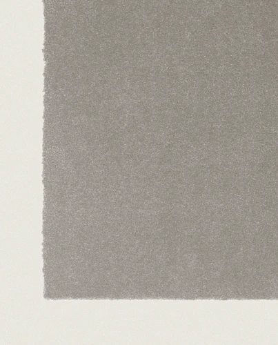 Wykładzina Rols Zenit+ 30