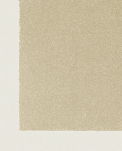 Wykładzina Rols Zenit+ 32