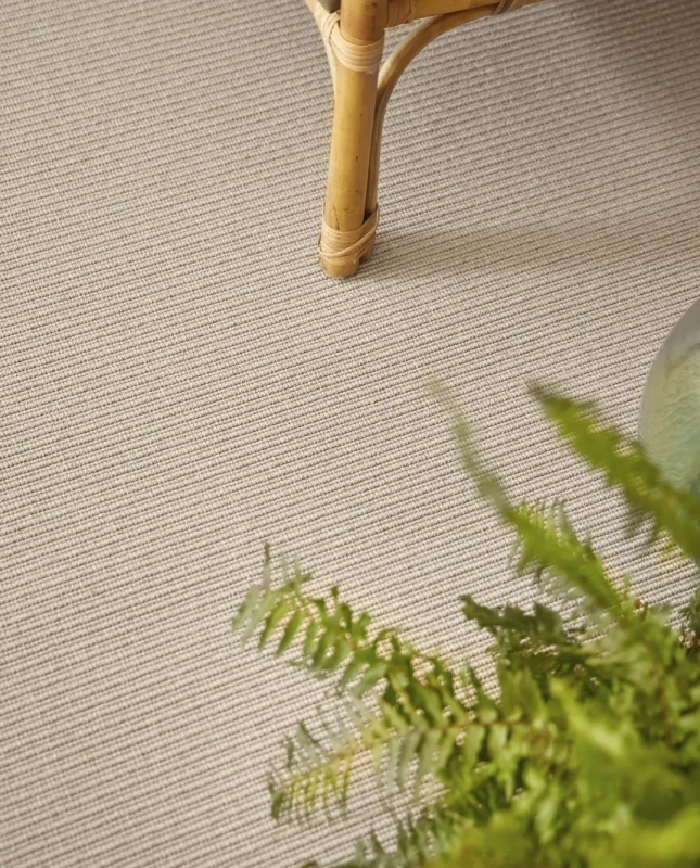 9768e7861318c1af2a39da2ee880578a