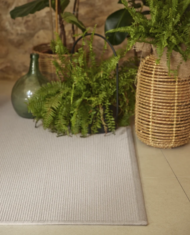 4e55192fd02d40019a84ff916e4bd069