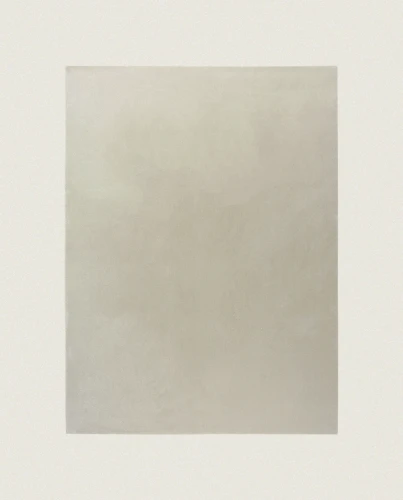 Dywan Rols Zenit+ 24