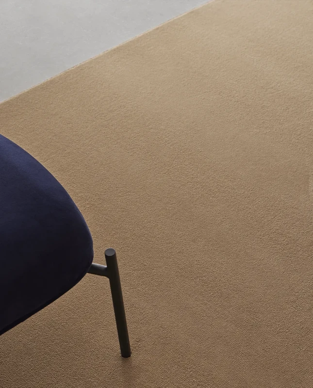 8c43622692a50789cbf72a85c18af502