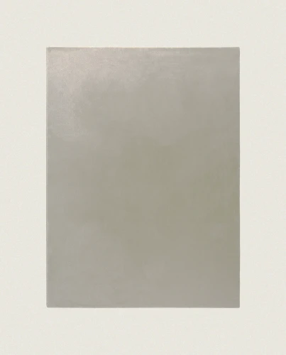 Dywan Rols Castor Plus 319