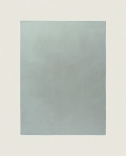 Dywan Rols Castor Plus 324