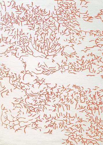 Dywan Toulemonde Bochart Nature Corail