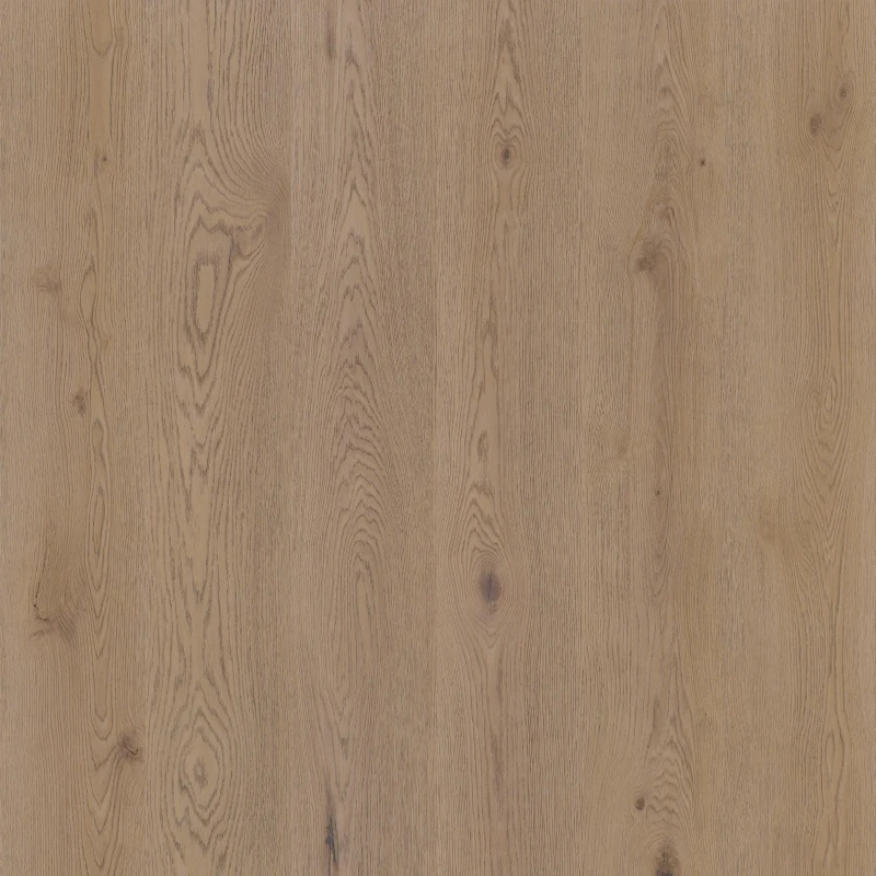 e871342ea18478632b077a2bfdc4b8f3