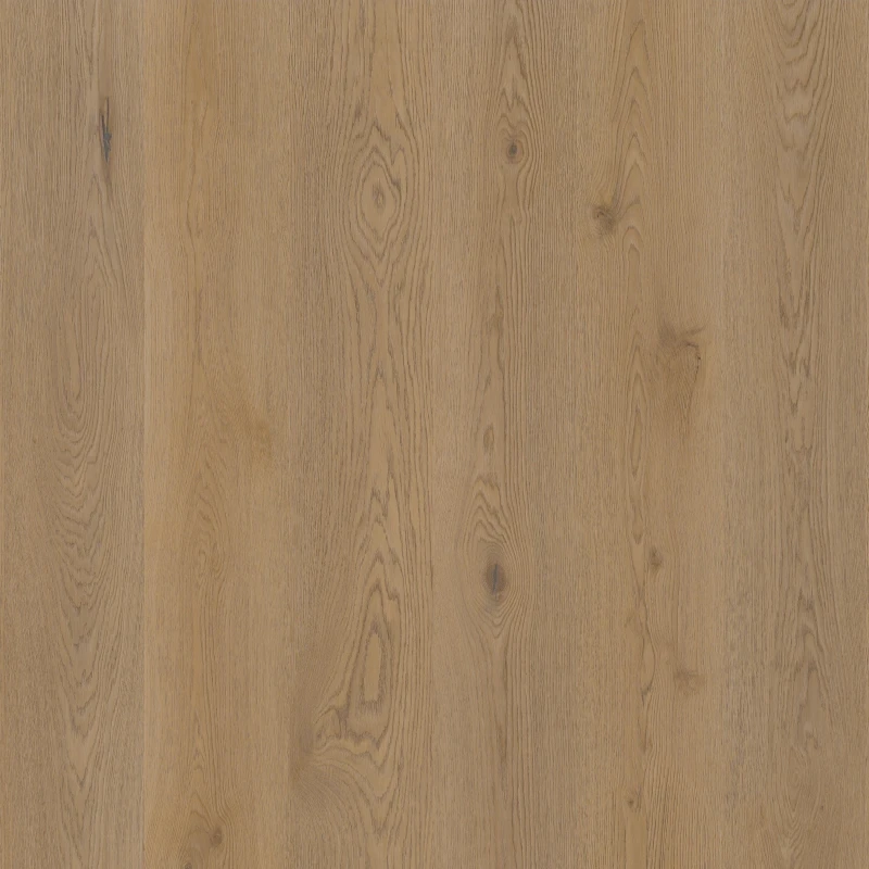 807c70a96d65317140b8986adacd66a5