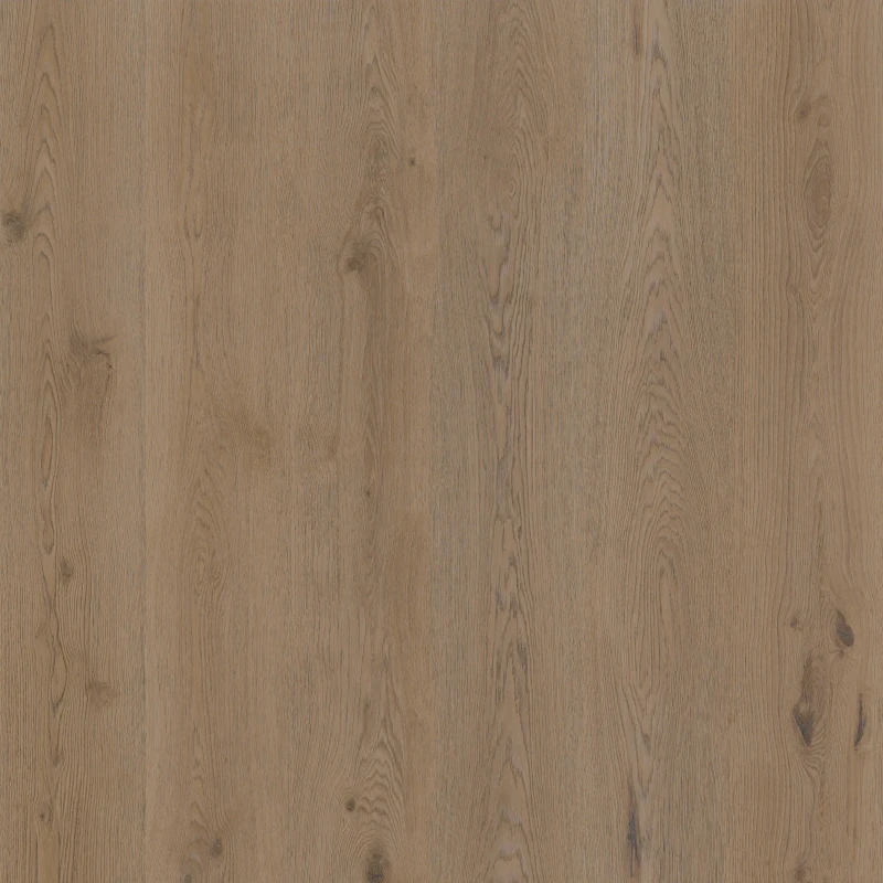 6852c9ca95bd4a7f388d5f9003ca0813