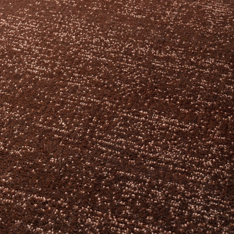 c48e76755fa018e549dddc77b599615e
