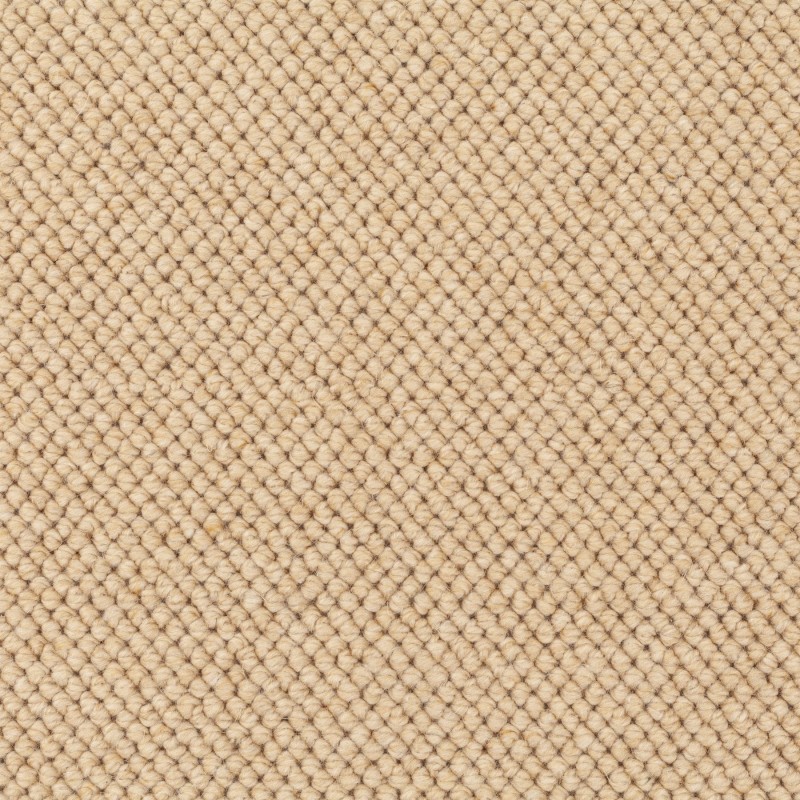 d45b4ae661a249c11938105eeafecb5f