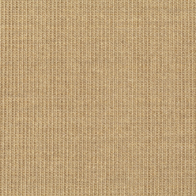 8d5123d31c5dd50e19a68d35cf4e8ba2