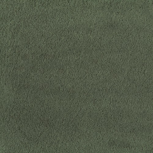 Wykładzina domowa Jab Anstoetz Viva Legend 3699/535
