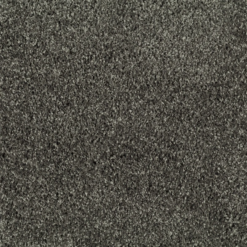 bbdb80a4bc3075c6d84e538aa4a2417e