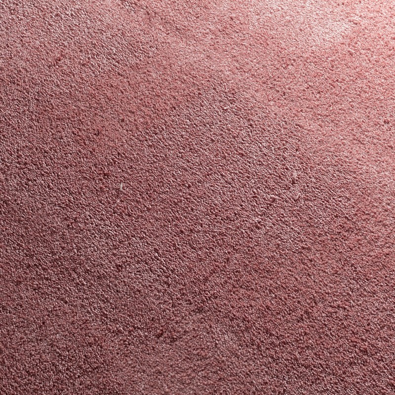 21b648759232223b9d77b395f047c9d3