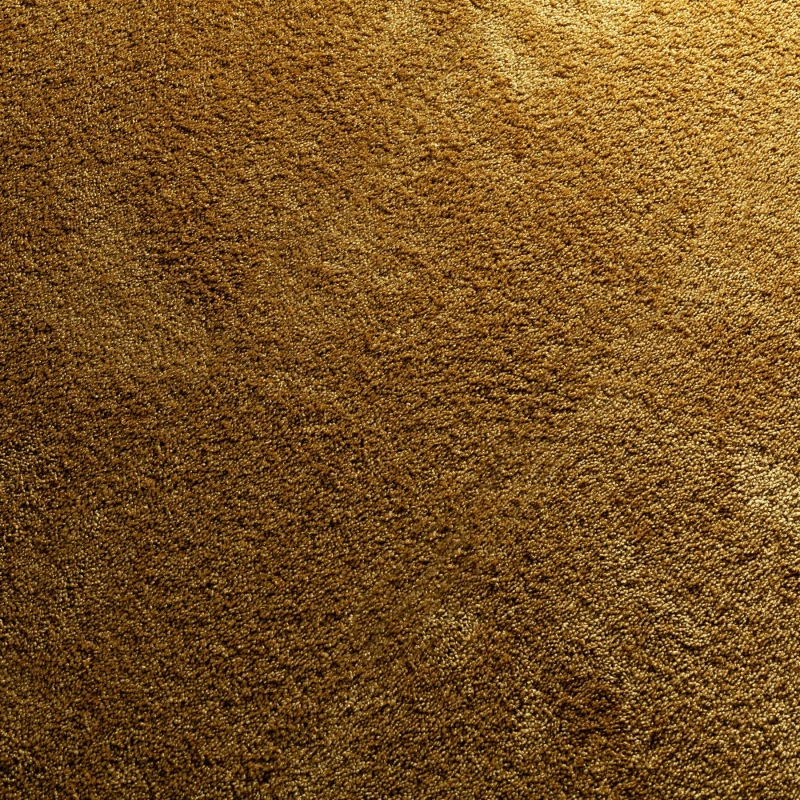 31bca7e560cfc5995e8d82f022460864