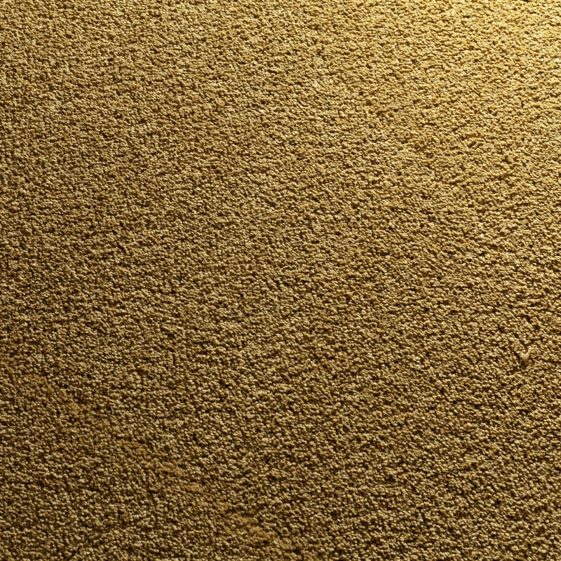 c5fa584fb21bbf31aab987eab1334665