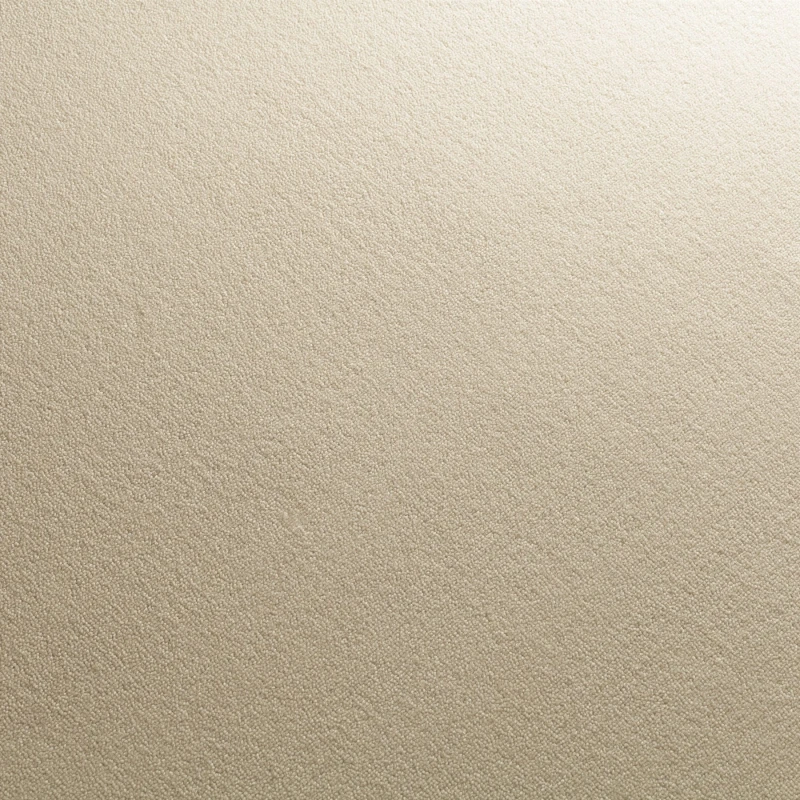 d27d4d0ca224847bab00961887ffdc72