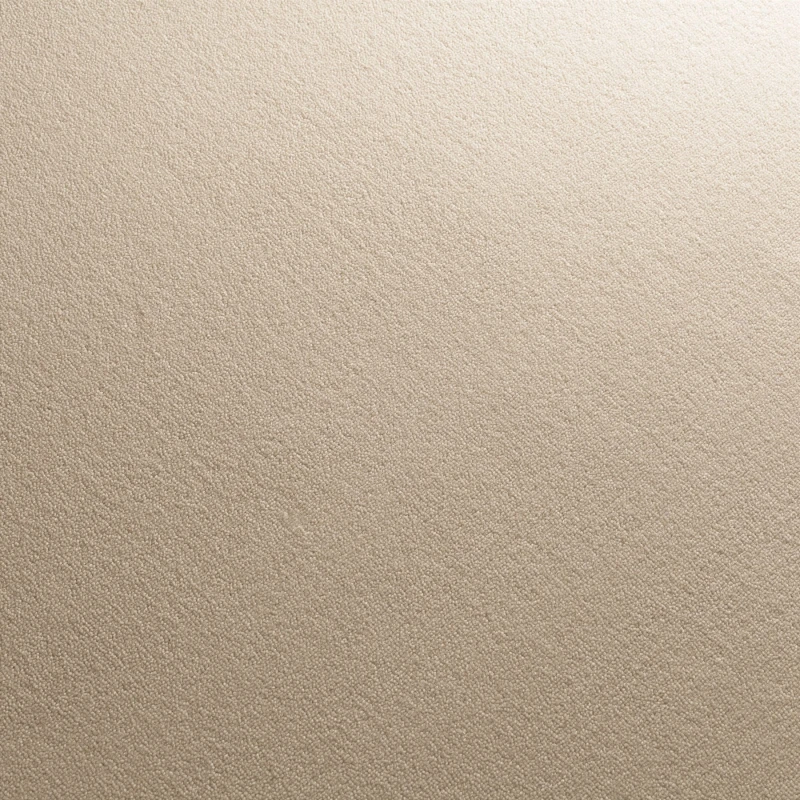 2d4760192a63f71e06a7e5766645393c
