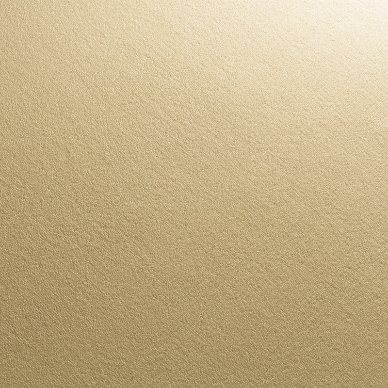 e905effeb2fe95059396072d37c596ba
