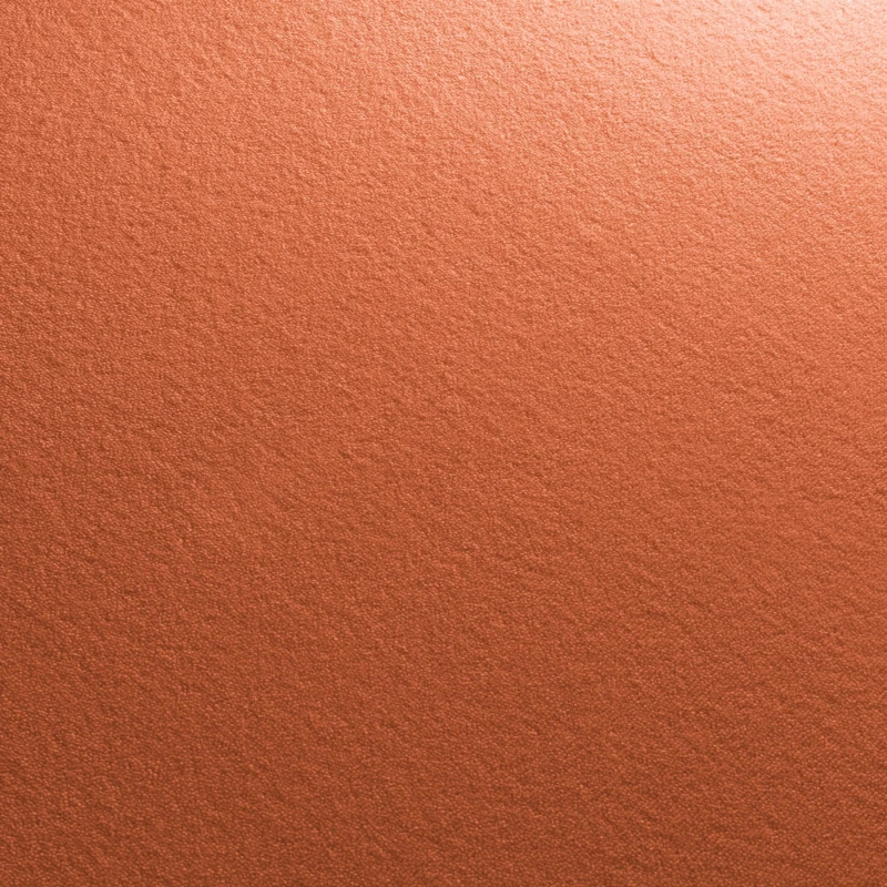 a31504646b8ebc560a0b74d9b22b4b2c