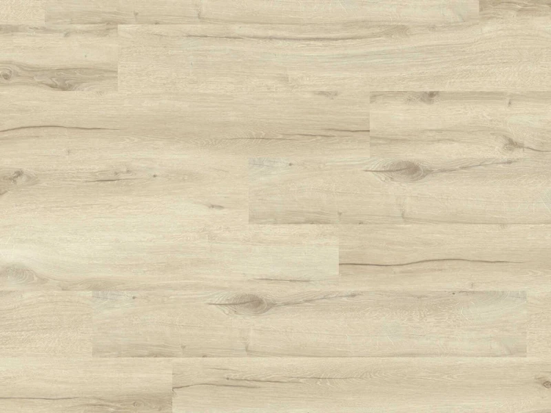 9a2ff75b11981873c6331d93518248e3