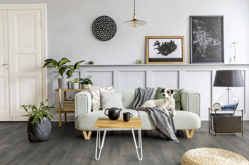 48e1afa64226cff07e0a8da544ecf095