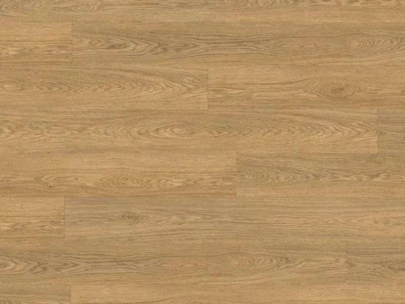 rs74190.jpg