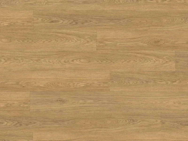 rs74190.jpg