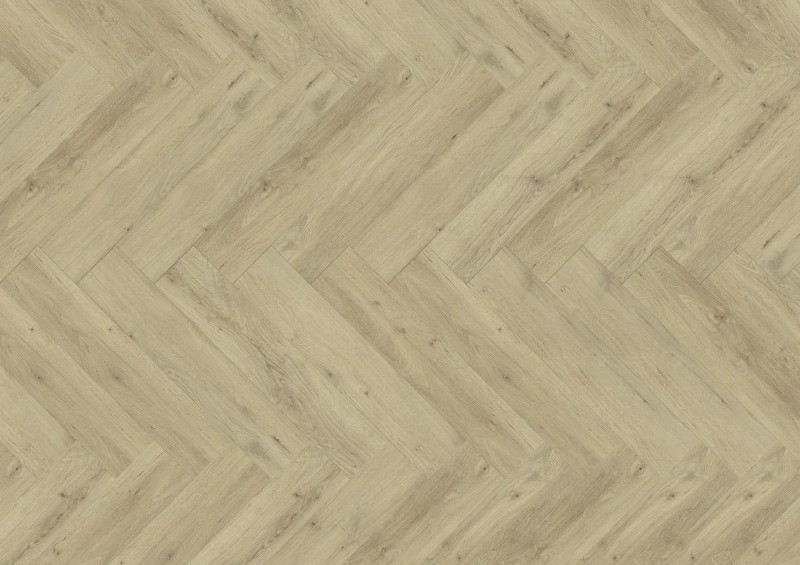 417346ca9426775632956114863d7f64.jpg