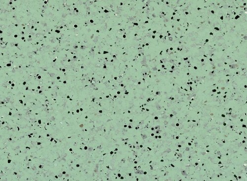 Wykładzina przewodząca Gerflor Mipolam EL5 0355 Green