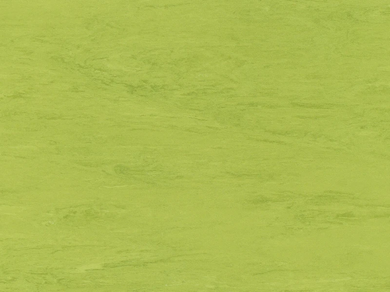 298269881230661c17f69208c4bd7bb9