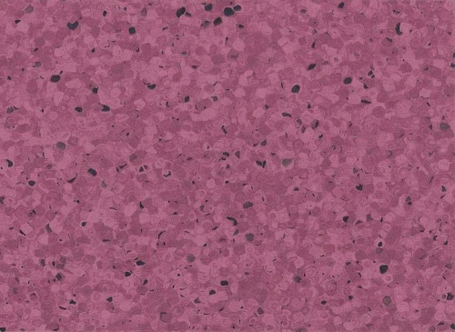 Wykładzina Homogeniczna Mipolam Gerflor Elegance 0331 Plum (waga 2850 g) Gr. T