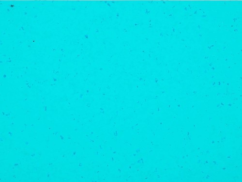 Wykładzina Homogeniczna Mipolam Gerflor Planet 5437 Reef Water (waga 2700 g) Gr. T