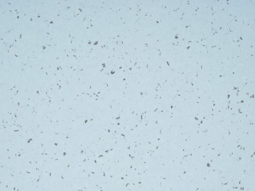 Wykładzina Homogeniczna Mipolam Gerflor Bioplanet 5406 Moqui (waga 2700 g) Gr. T