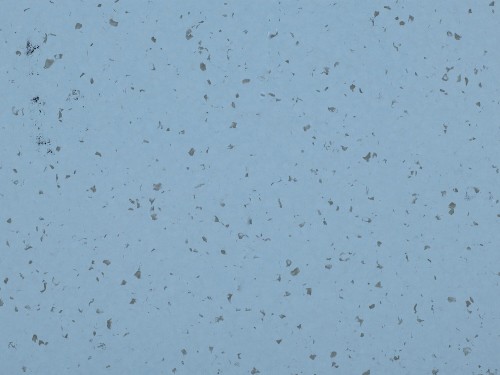 Wykładzina Homogeniczna Mipolam Gerflor Bioplanet 5416 Acquamarina (waga 2700 g) Gr. T