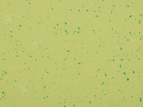 Wykładzina Homogeniczna Mipolam Gerflor Bioplanet 5427 Green Zest (waga 2700 g) Gr. T