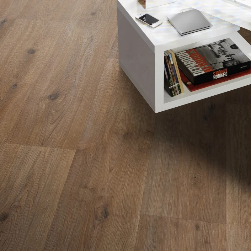 e869217a28f1a4204ef29af4a4d80f4f