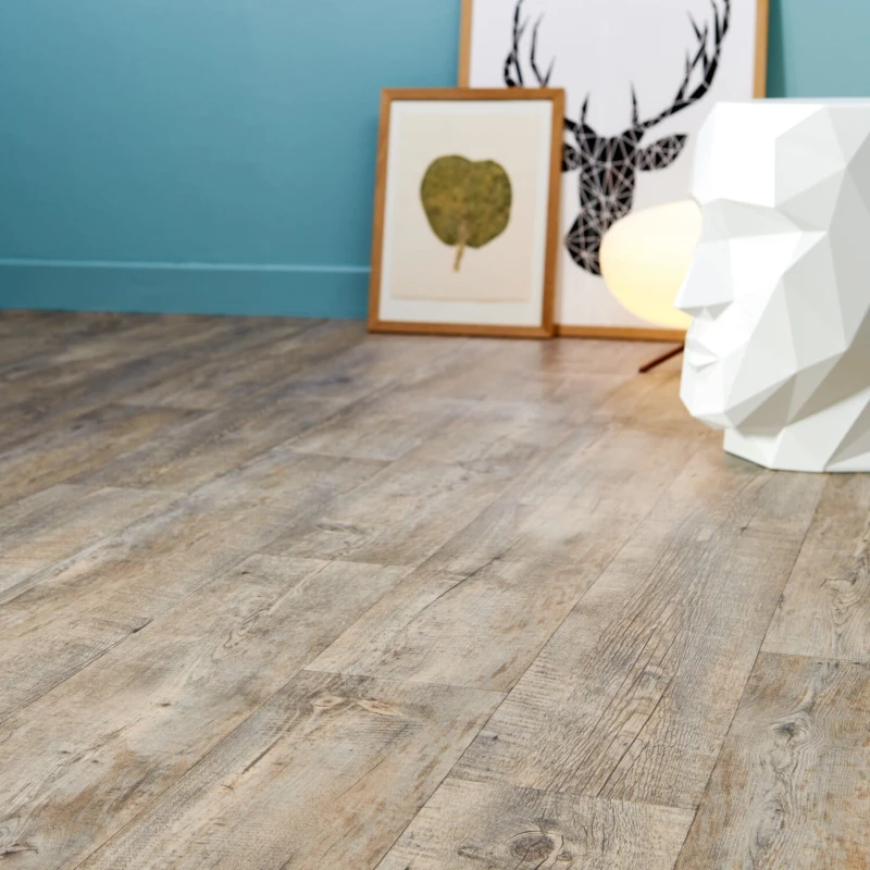 4f66b2dd597769bb1d1947209b07a9e7