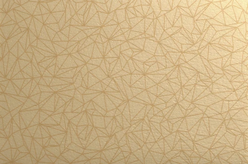 Wykładzina Heterogeniczna Gerflor Taralay Initial Compact 0954 Spider Dore