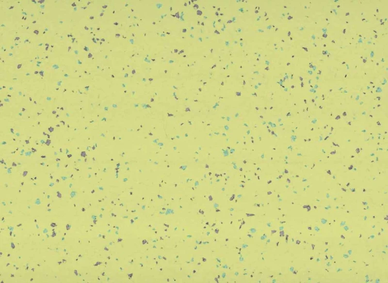 e10ef9cad2cf5fbf564fba7c12401293