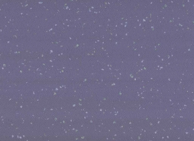 2ed143d6a27ca1f590738d2c48a85fa3