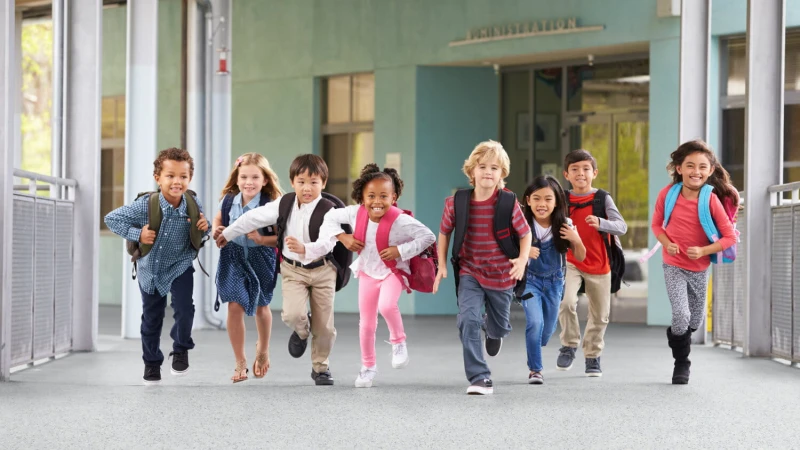 e9442b794cd62ae2049515bf82ca7b13