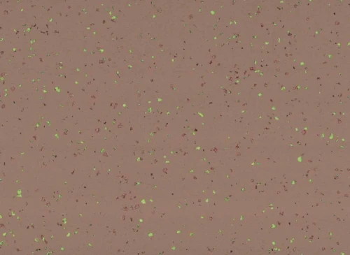 Wykładzina Heterogeniczna Gerflor Taralay Premium Compact 8059 Nicobar Indiana