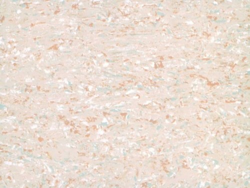 Wykładzina Homogeniczna Mipolam Gerflor Accord 0303 Manitoba (waga 2790 g) Gr. T