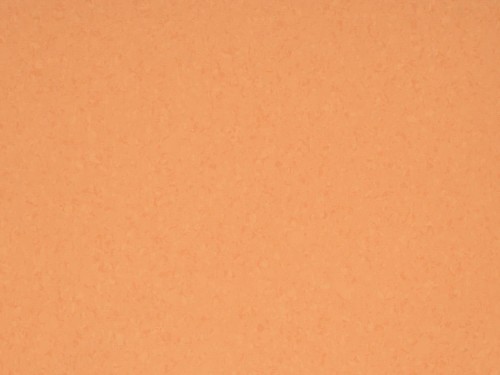 Wykładzina Homogeniczna Mipolam Gerflor Symbioz T 6025 Tangelo (waga 2595 g) Gr. T