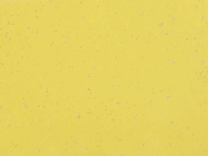 151bf3e7261b2f247089c874c74cae05