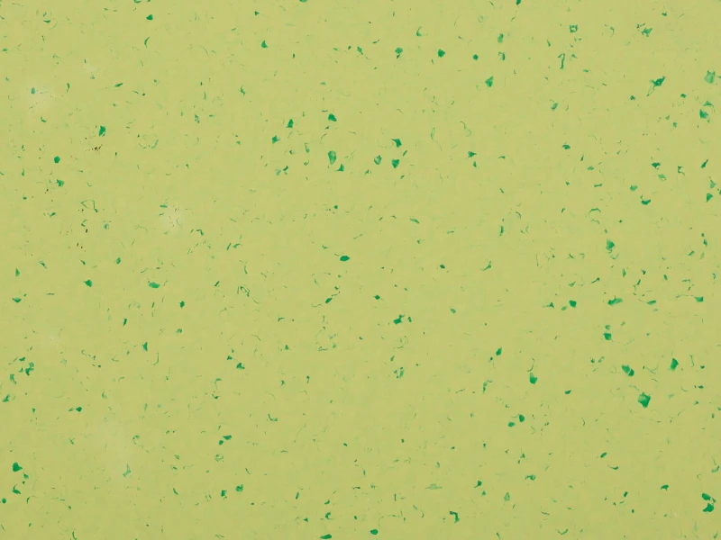 998beb473fd017de77bf59feed34ff80