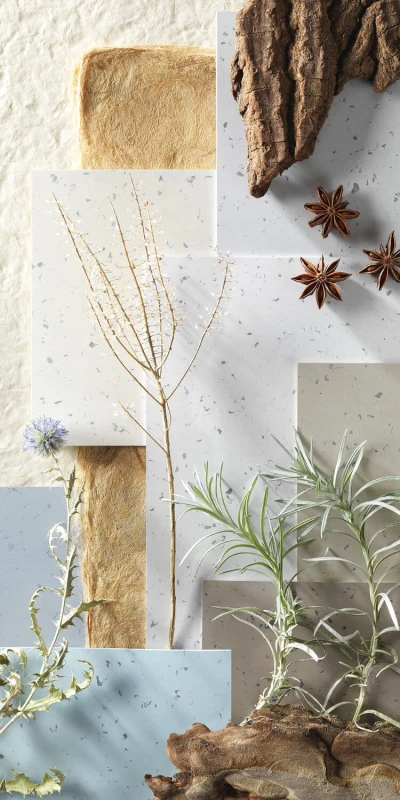 c6506a2eaa6503c279862a4b250428a4