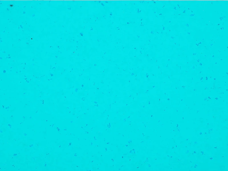 71e84ef496b97c321c5026b5d4cdd42f