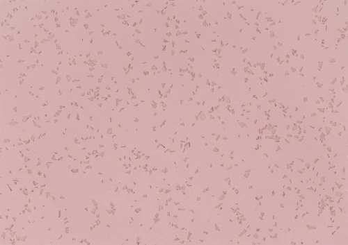 Wykładzina Heterogeniczna Gerflor Taralay Millenium Compact 4164 Eros